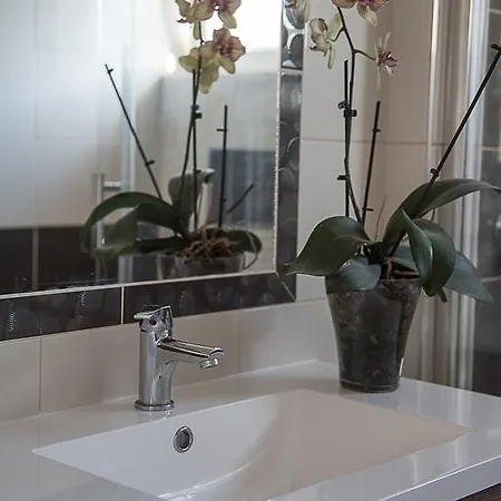 Orchidea