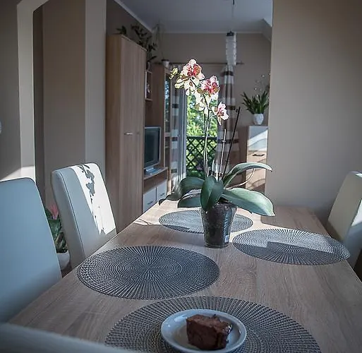 Orchidea Daire
